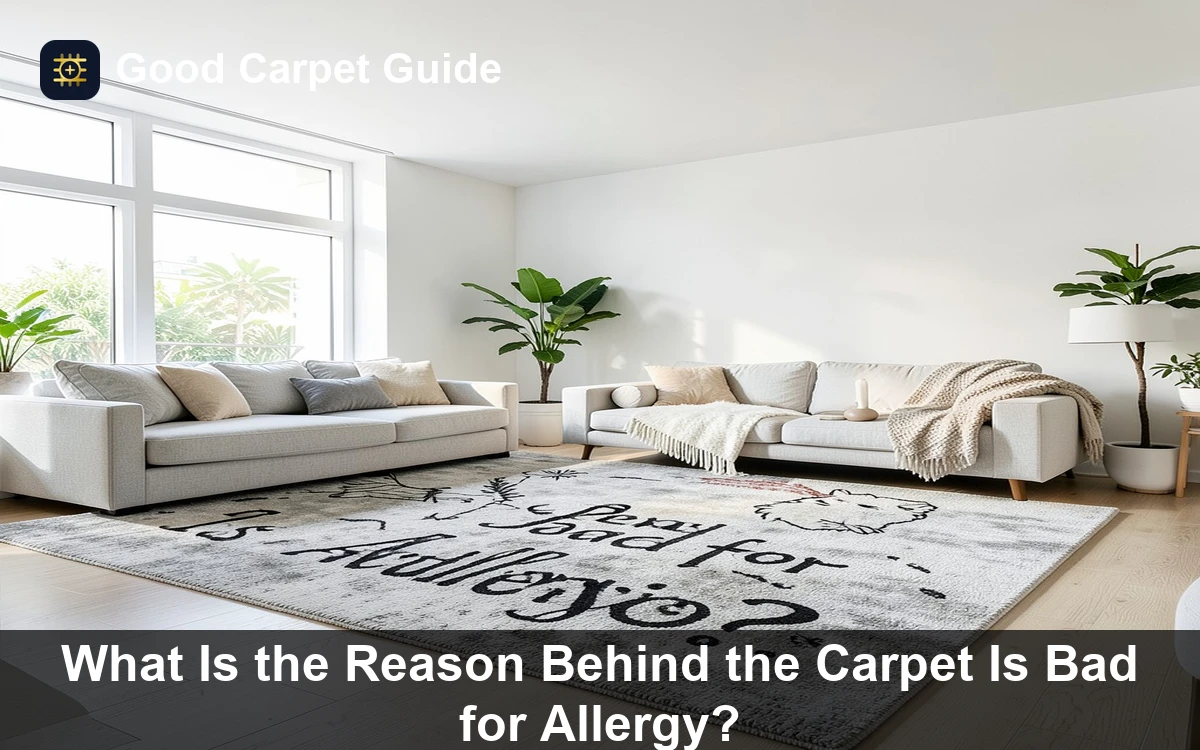 Premium What Is the Reason Behind the Carpet Is Bad for Allergy? carpet and rug guide