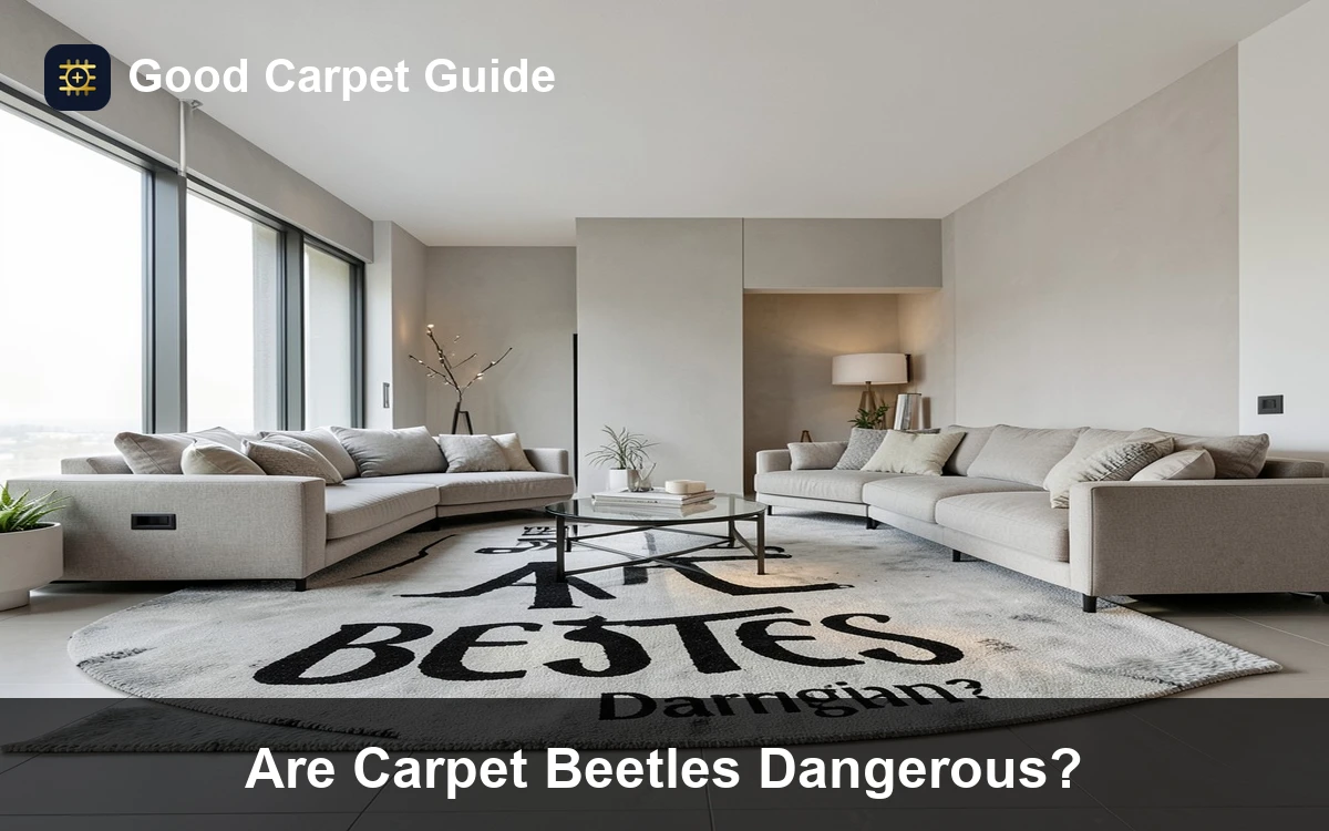 Premium Are Carpet Beetles Dangerous? carpet and rug guide