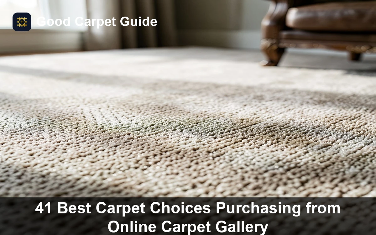 Premium 41 Best Carpet Choices Purchasing from Online Carpet Gallery carpet and rug guide